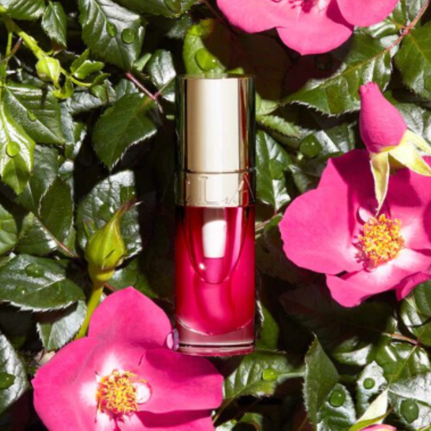 LIP COMFORT OIL (ACEITE HIDRATANTE PARA LABIOS CON UN TOQUE DE COLOR)